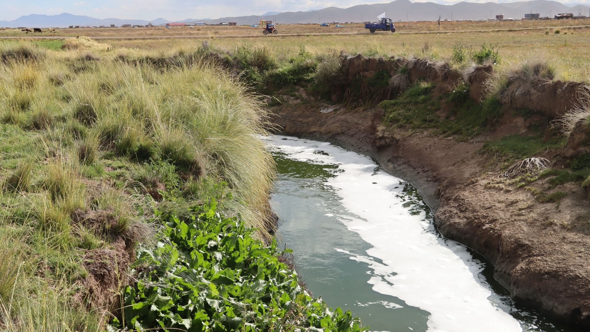 Río Coata: cuando el agua envenenada llega al cuerpo humano
